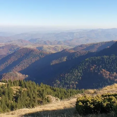 Kraljevi Cardaci 9d 12- Sunny View Kopaonik