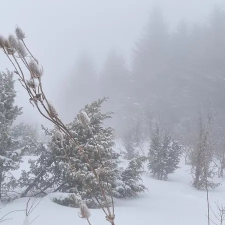 Kraljevi Cardaci 9d 12- Sunny View アパート *