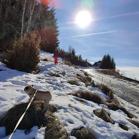 Kraljevi Cardaci 9d 12- Sunny View アパート *