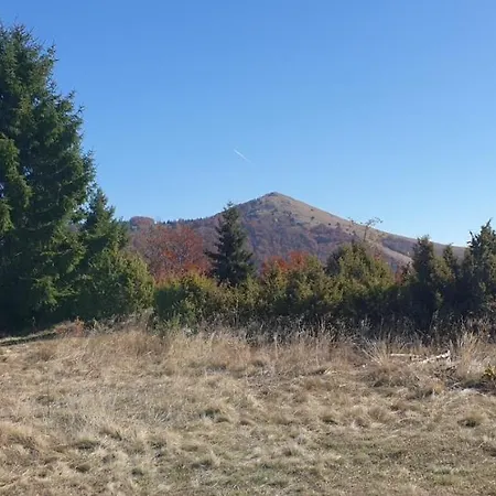 Kraljevi Cardaci 9d 12- Sunny View * Kopaonik