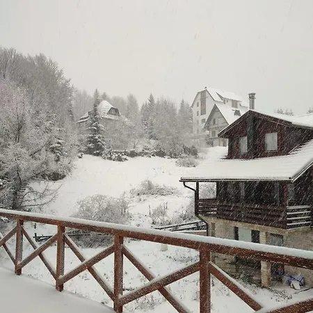 Kraljevi Cardaci 9d 12- Sunny View *