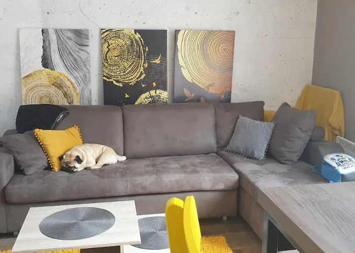 Kraljevi Cardaci 9d 12- Sunny View Apartmán