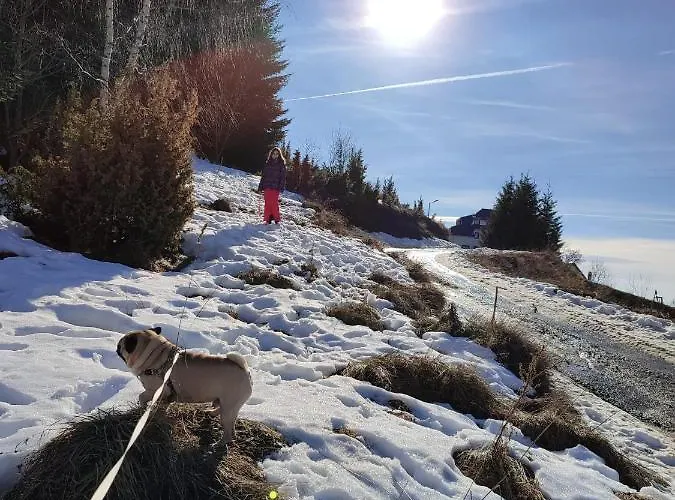 Kraljevi Cardaci 9d 12- Sunny View Apartmán *