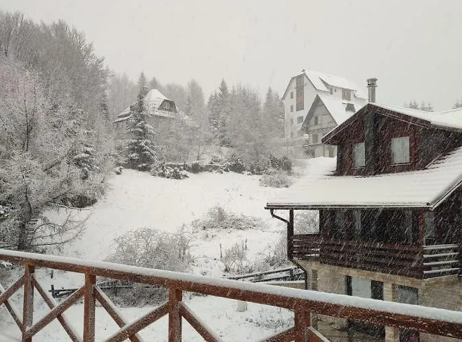 Kraljevi Cardaci 9d 12- Sunny View *