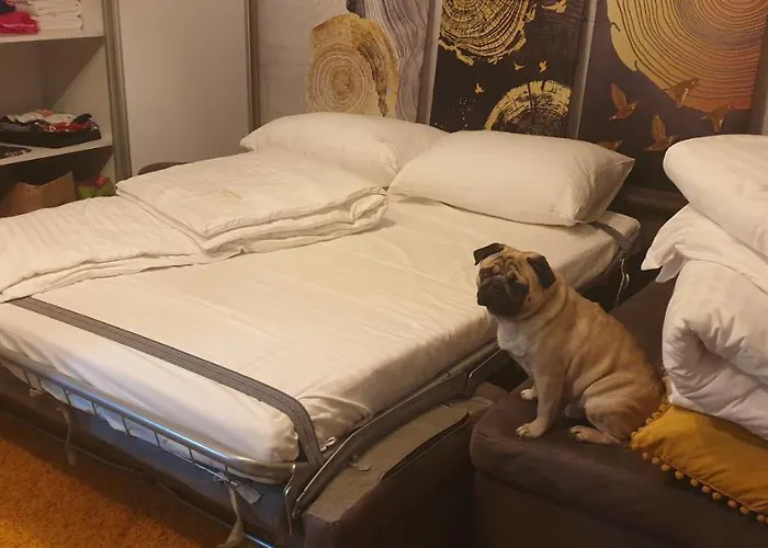 Apartmán Kraljevi Cardaci 9d 12- Sunny View Kopaonik